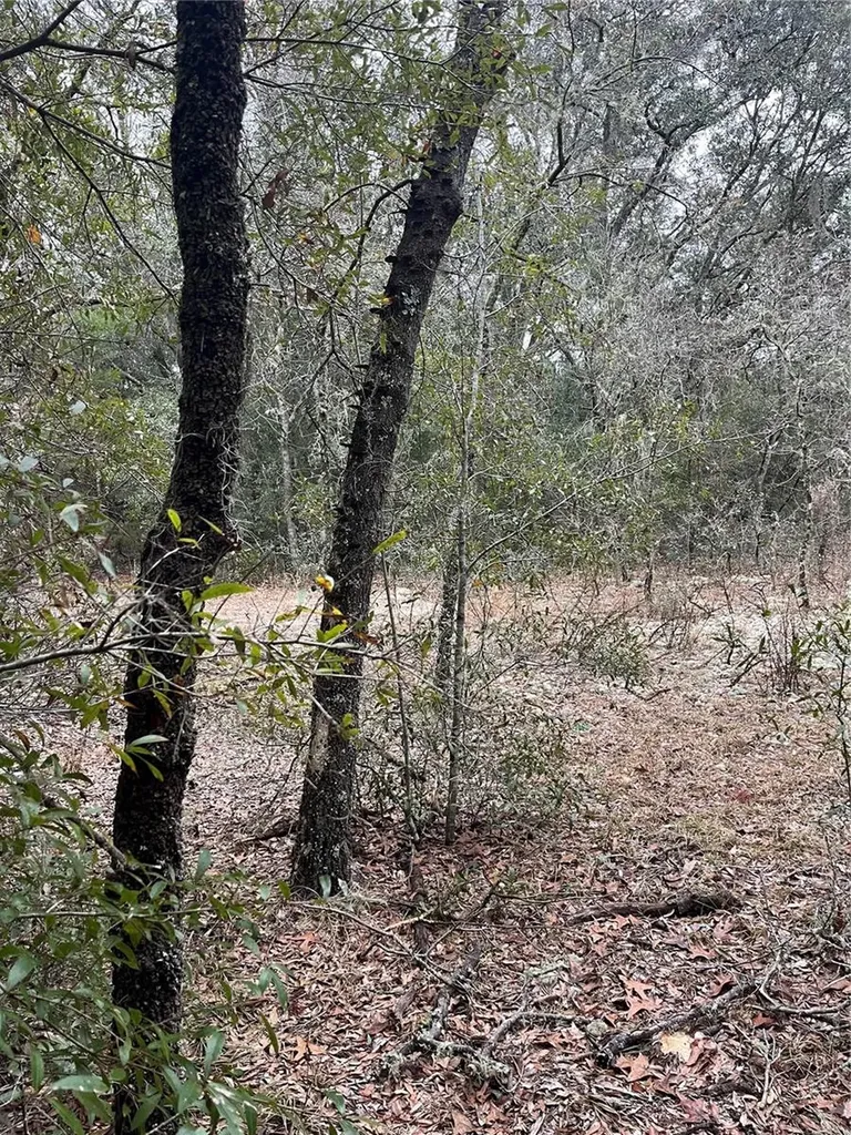 Lot 36 SW Monines Court Dunnellon FL 34431