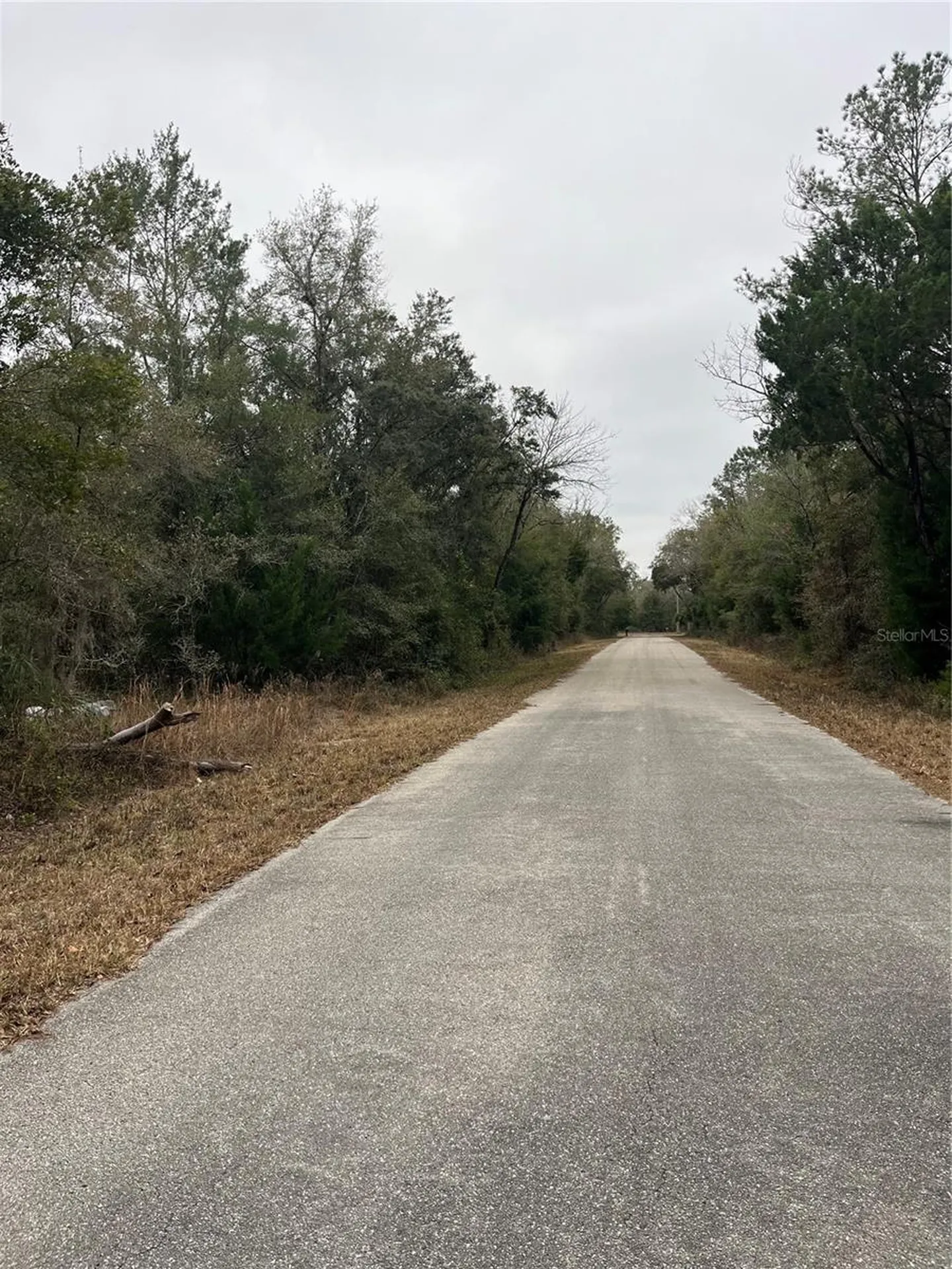 Lot 36 SW Monines Court Dunnellon FL 34431