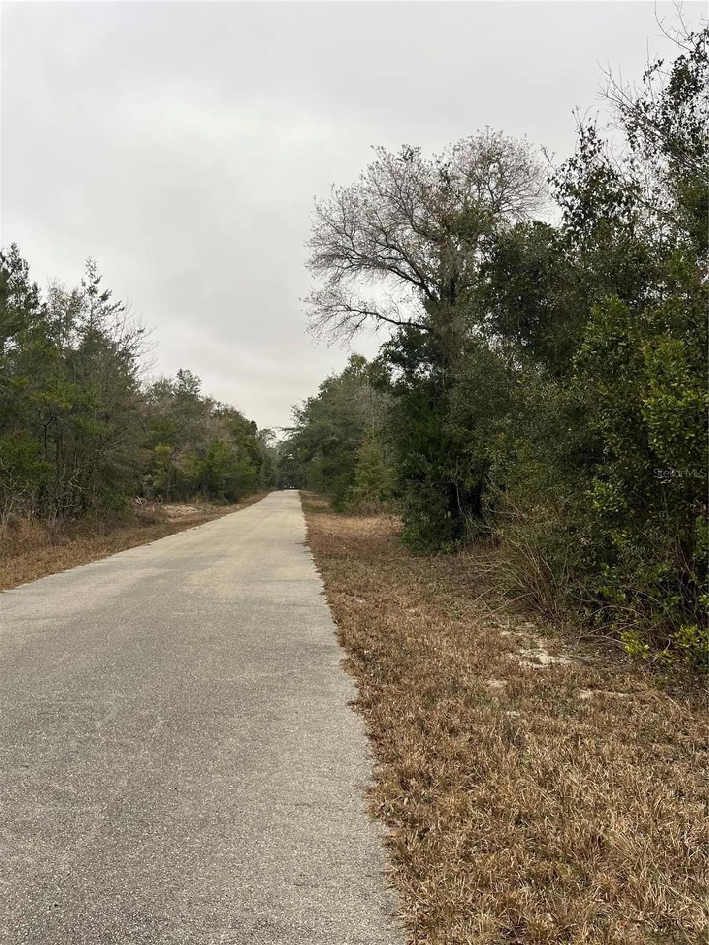 Lot 36 SW Monines Court Dunnellon FL 34431