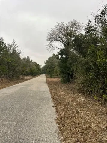 Lot 36 SW Monines Court Dunnellon FL 34431