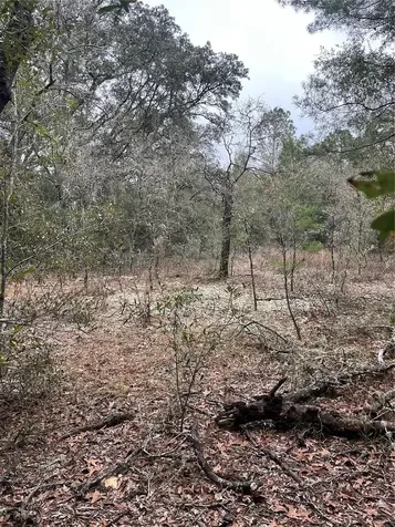Lot 36 SW Monines Court Dunnellon FL 34431