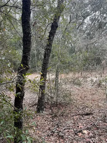 Lot 36 SW Monines Court Dunnellon FL 34431