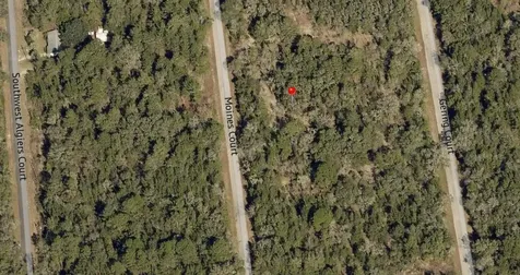 Lot 36 SW Monines Court Dunnellon FL 34431