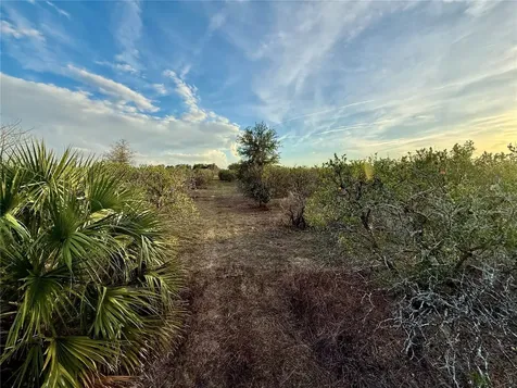 SE 165th Avenue Weirsdale FL 32195