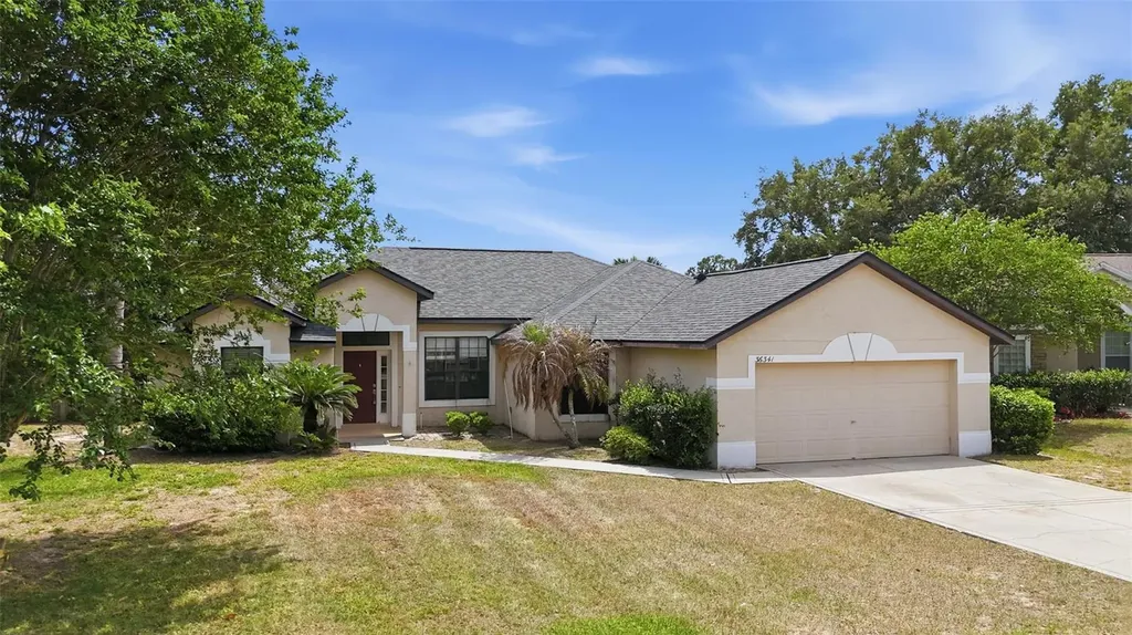 36341 Grand Island Oaks Circle Grand Island FL 32735
