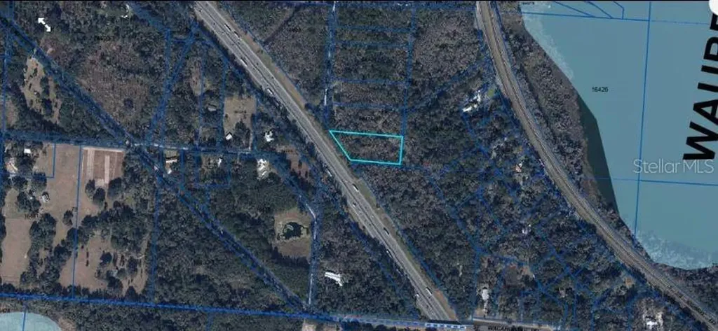SE Wacahoota Road Micanopy FL 32667