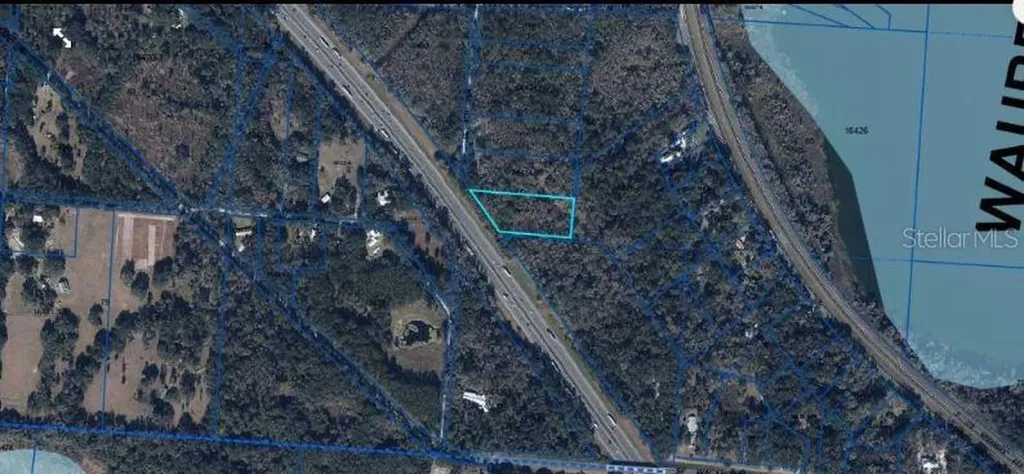 SE Wacahoota Road Micanopy FL 32667
