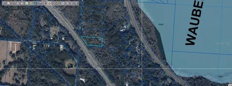 SE Wacahoota Road Micanopy FL 32667