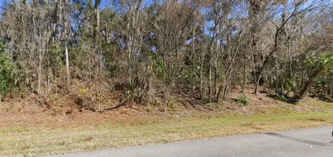 SE Wacahoota Road Micanopy FL 32667