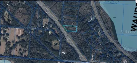 SE Wacahoota Road Micanopy FL 32667