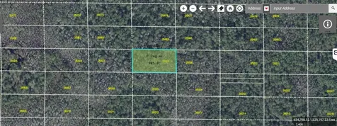Dill Road Orlando FL 32820
