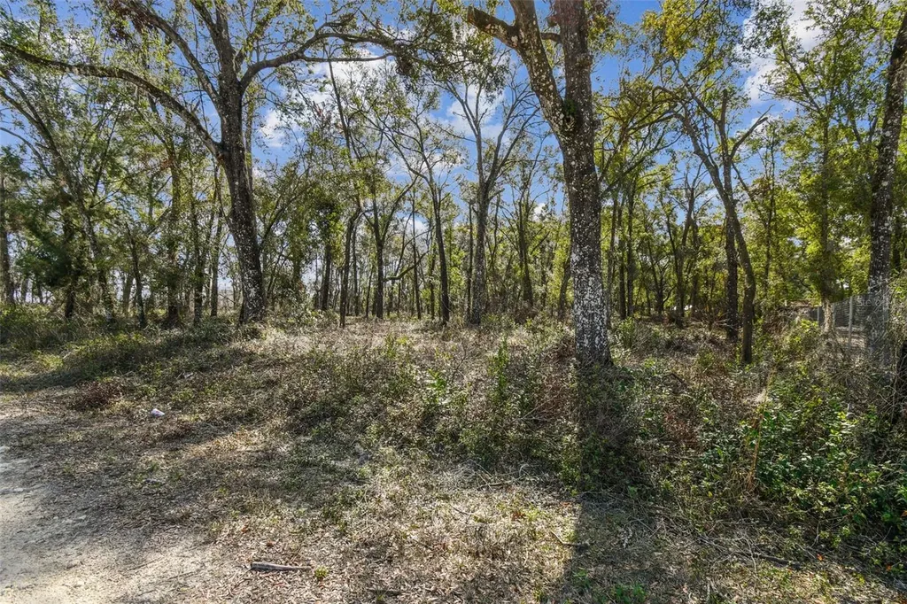 Mckethan Road Dade City FL 33523