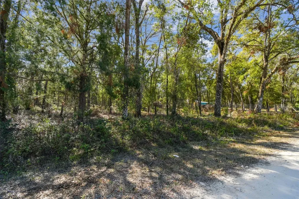 Mckethan Road Dade City FL 33523