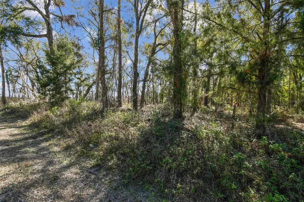 Mckethan Road Dade City FL 33523