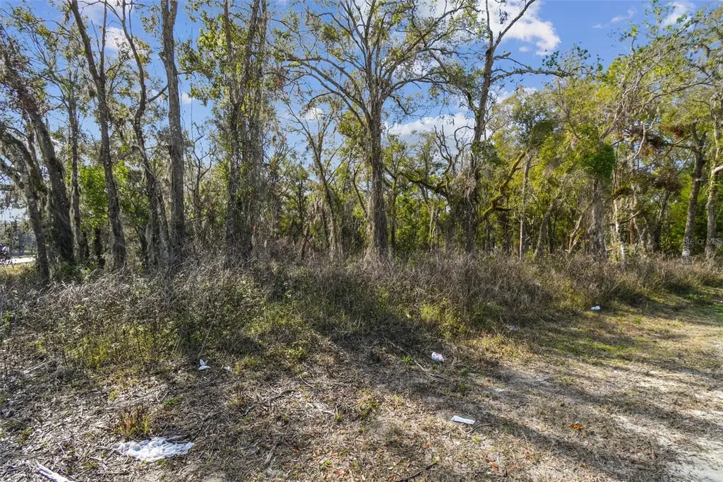 Mckethan Road Dade City FL 33523