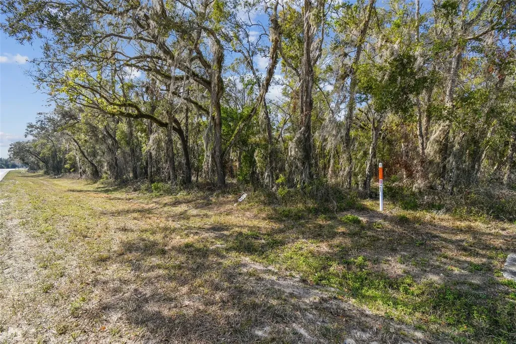 Mckethan Road Dade City FL 33523