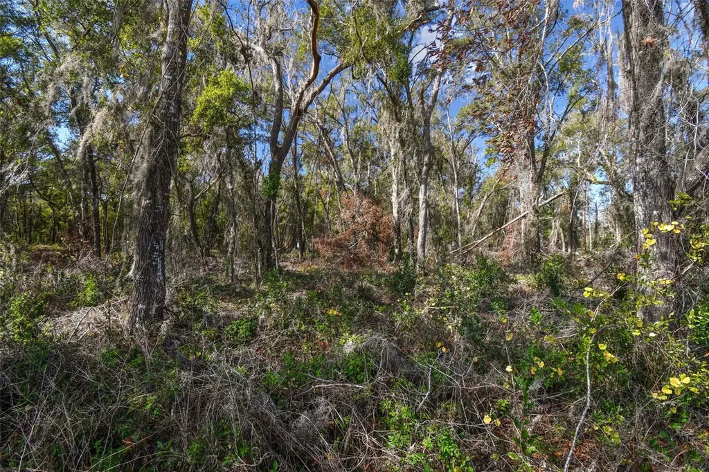 Mckethan Road Dade City FL 33523