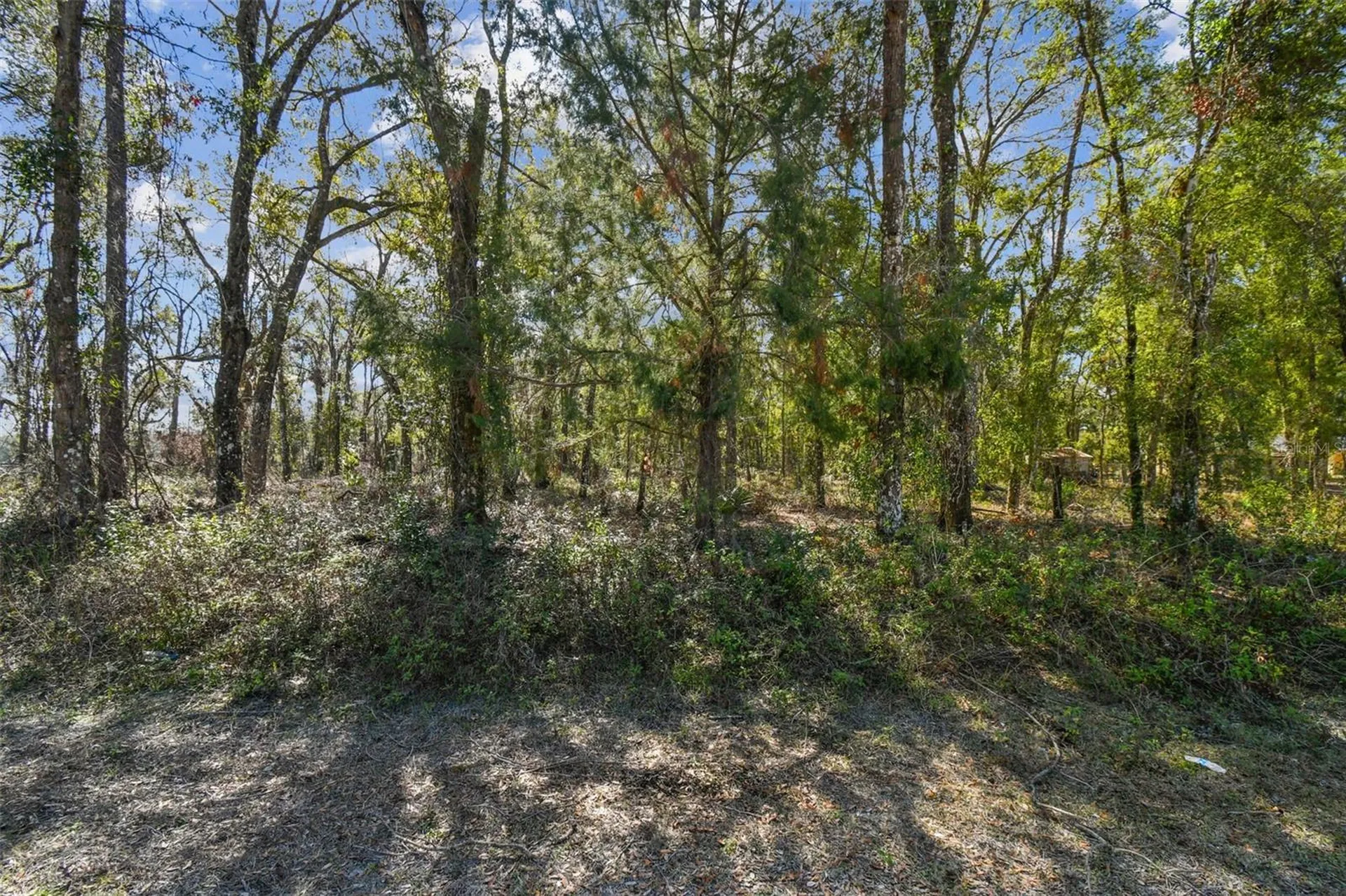 Mckethan Road Dade City FL 33523