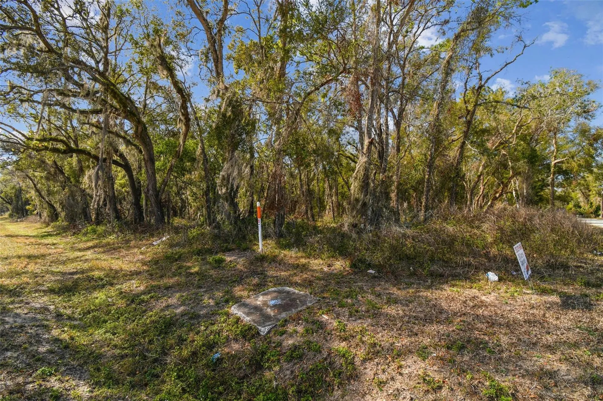 Mckethan Road Dade City FL 33523
