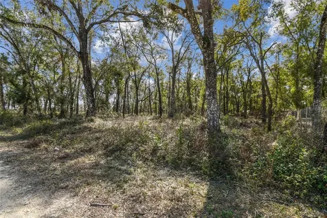 Mckethan Road Dade City FL 33523