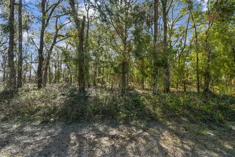 Mckethan Road Dade City FL 33523