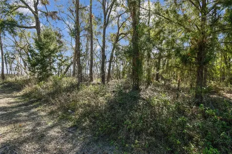 Mckethan Road Dade City FL 33523
