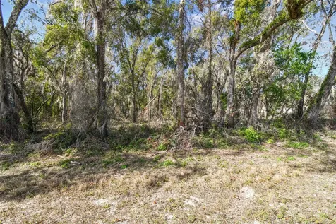 Mckethan Road Dade City FL 33523
