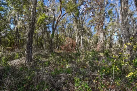 Mckethan Road Dade City FL 33523