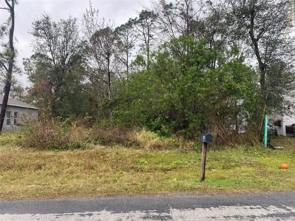 Clermont Drive Kissimmee FL 34759