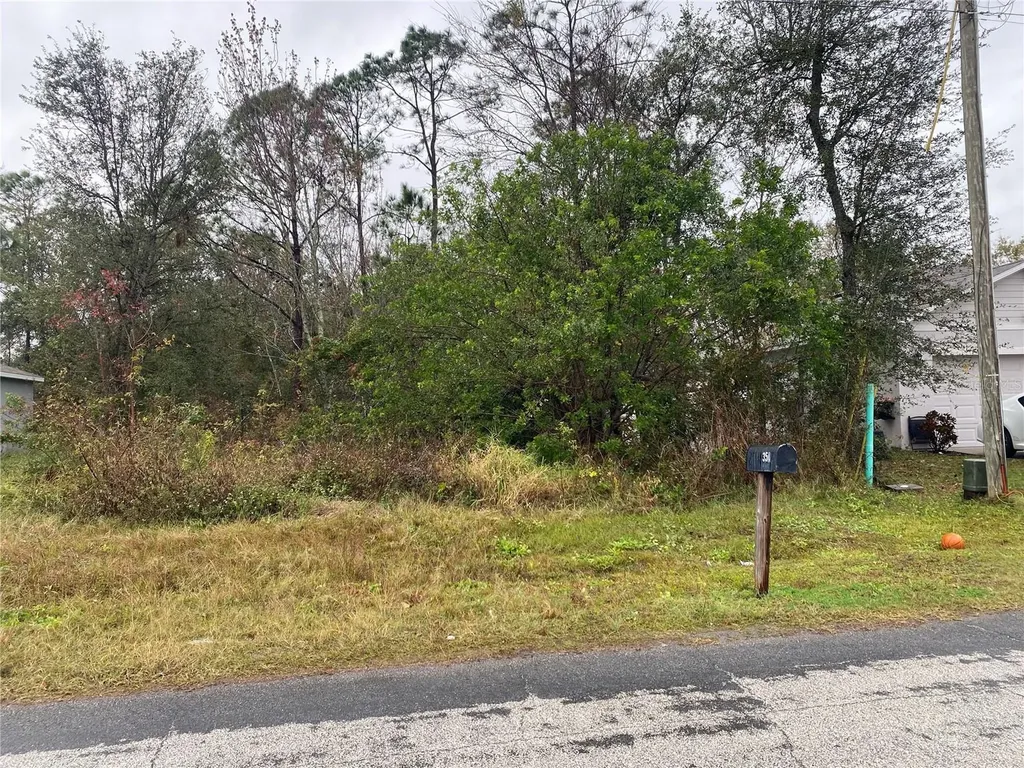 Clermont Drive Kissimmee FL 34759