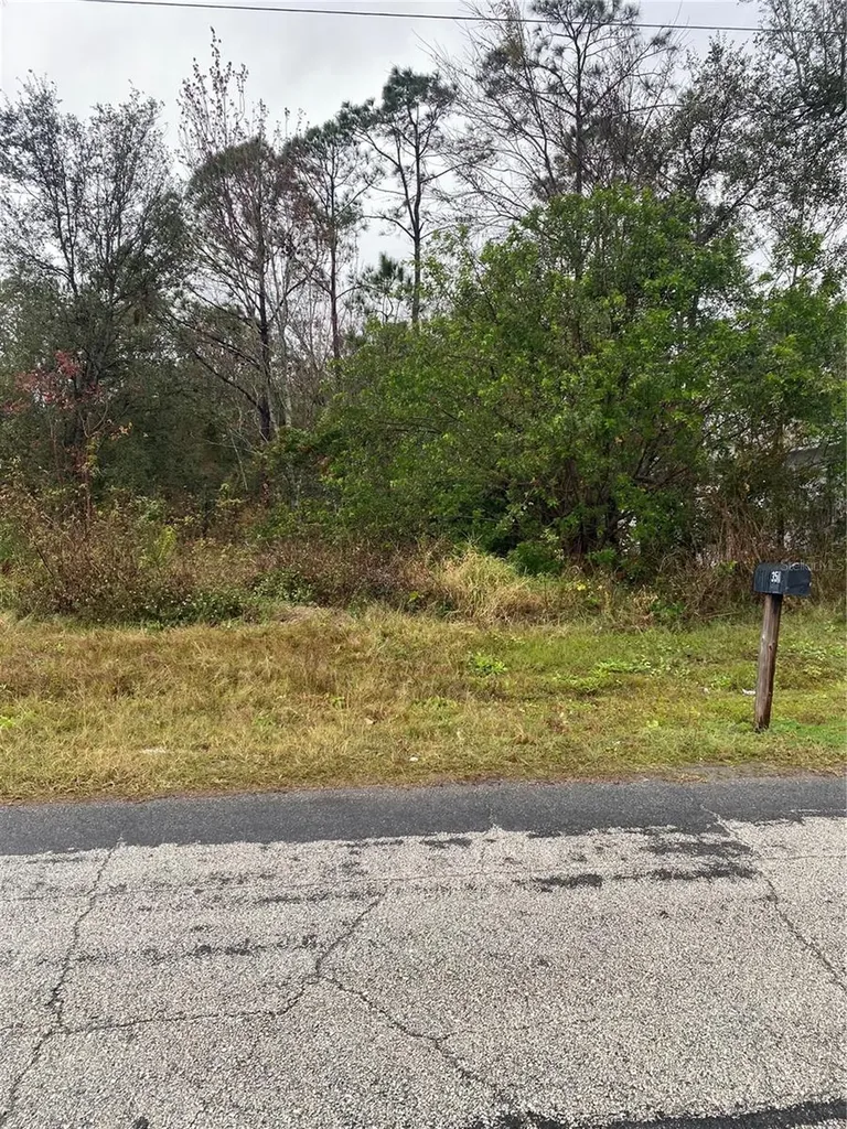 Clermont Drive Kissimmee FL 34759