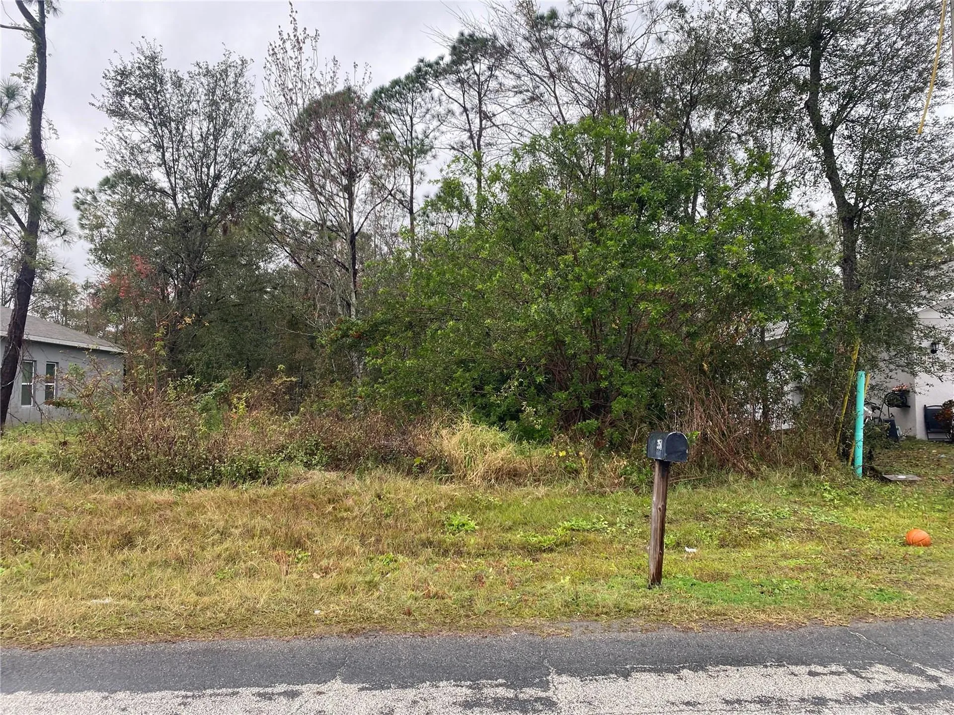 Clermont Drive Kissimmee FL 34759