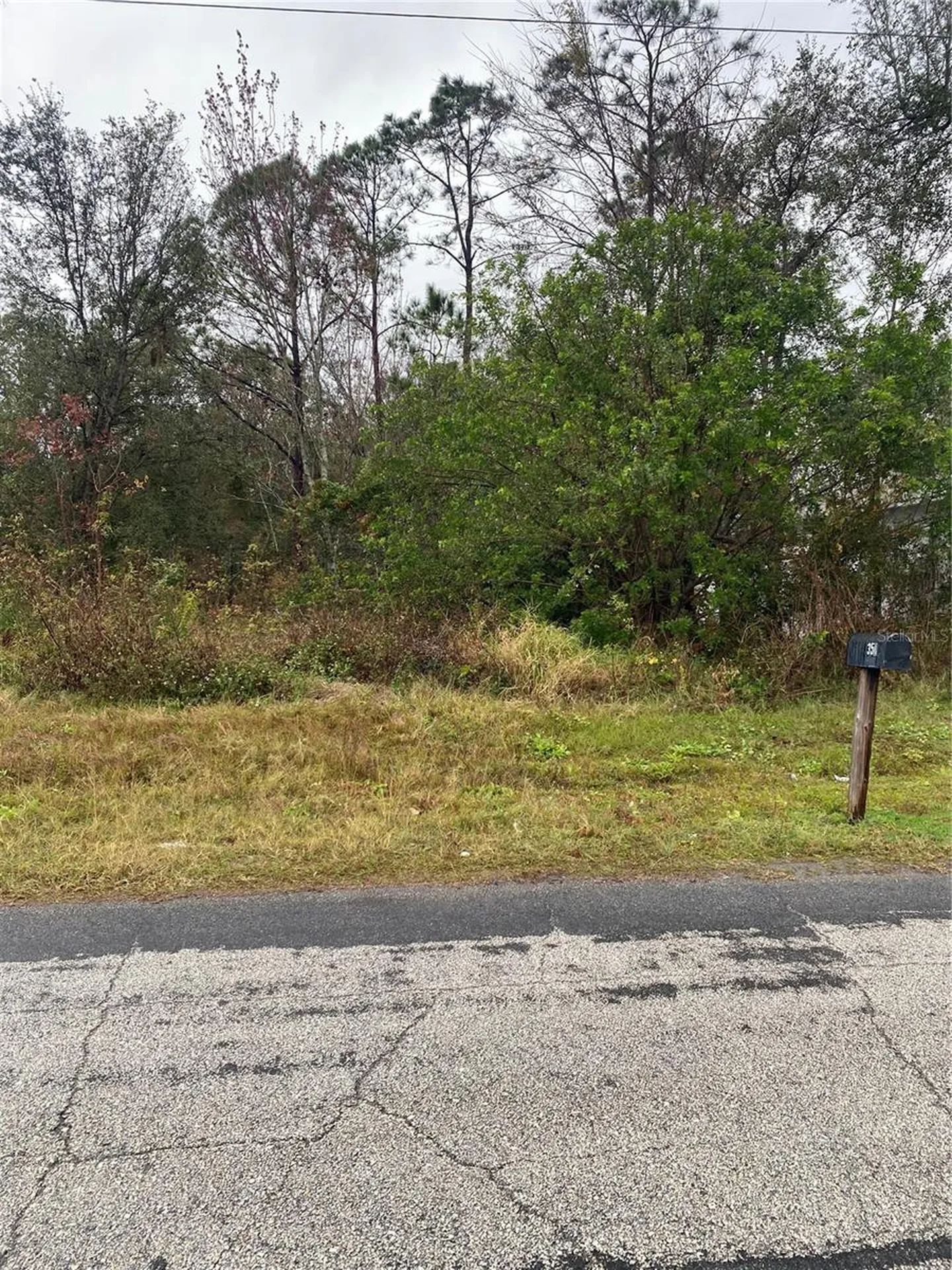 Clermont Drive Kissimmee FL 34759