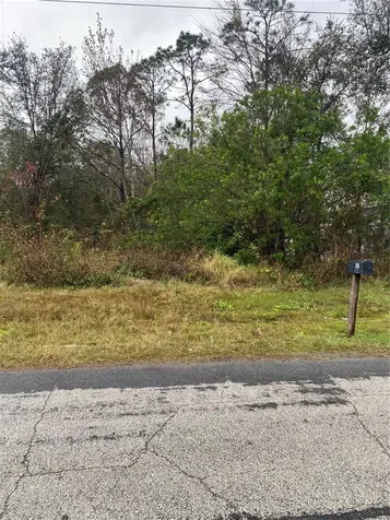 Clermont Drive Kissimmee FL 34759
