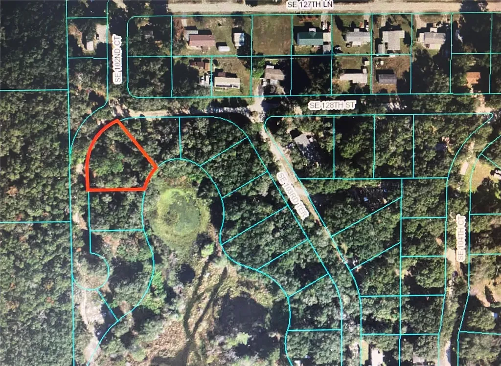 12851 SE 102nd Court Belleview FL 34420