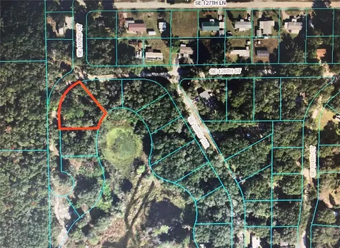 12851 SE 102nd Court Belleview FL 34420
