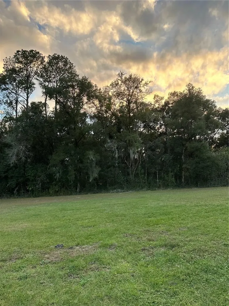 Undetermined Citra FL 32113