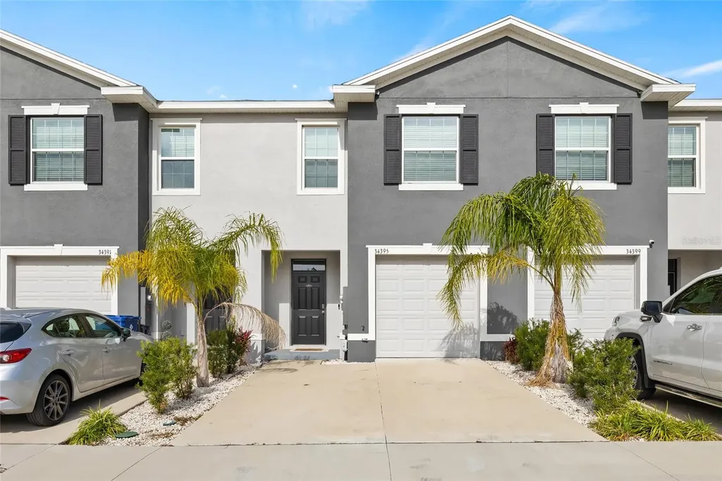34395 Sorrel Mint Drive Wesley Chapel FL 33543