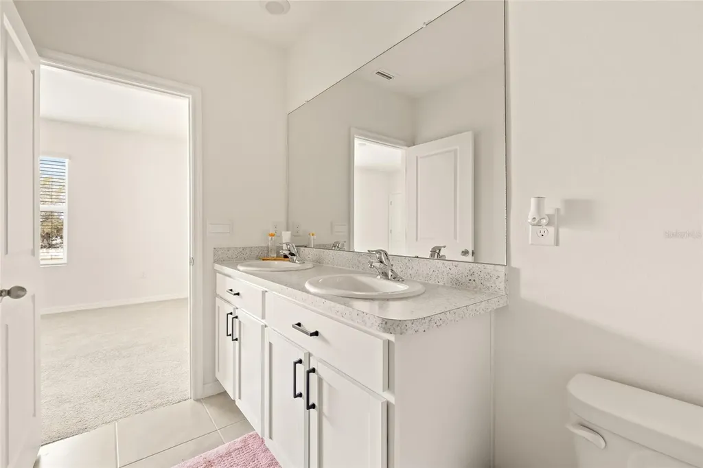 34395 Sorrel Mint Drive Wesley Chapel FL 33543