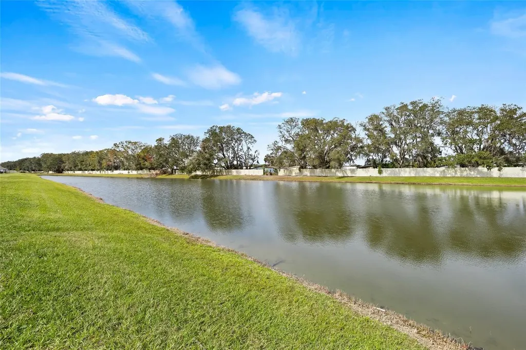 34395 Sorrel Mint Drive Wesley Chapel FL 33543