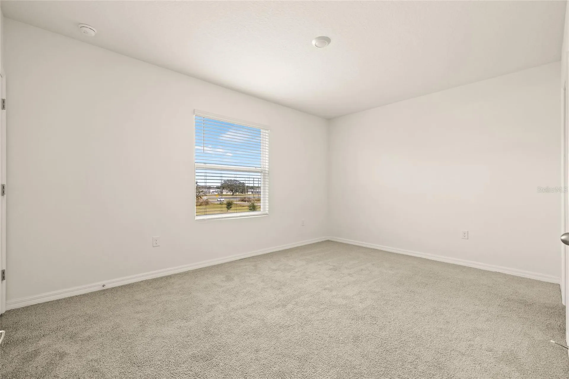 34395 Sorrel Mint Drive Wesley Chapel FL 33543