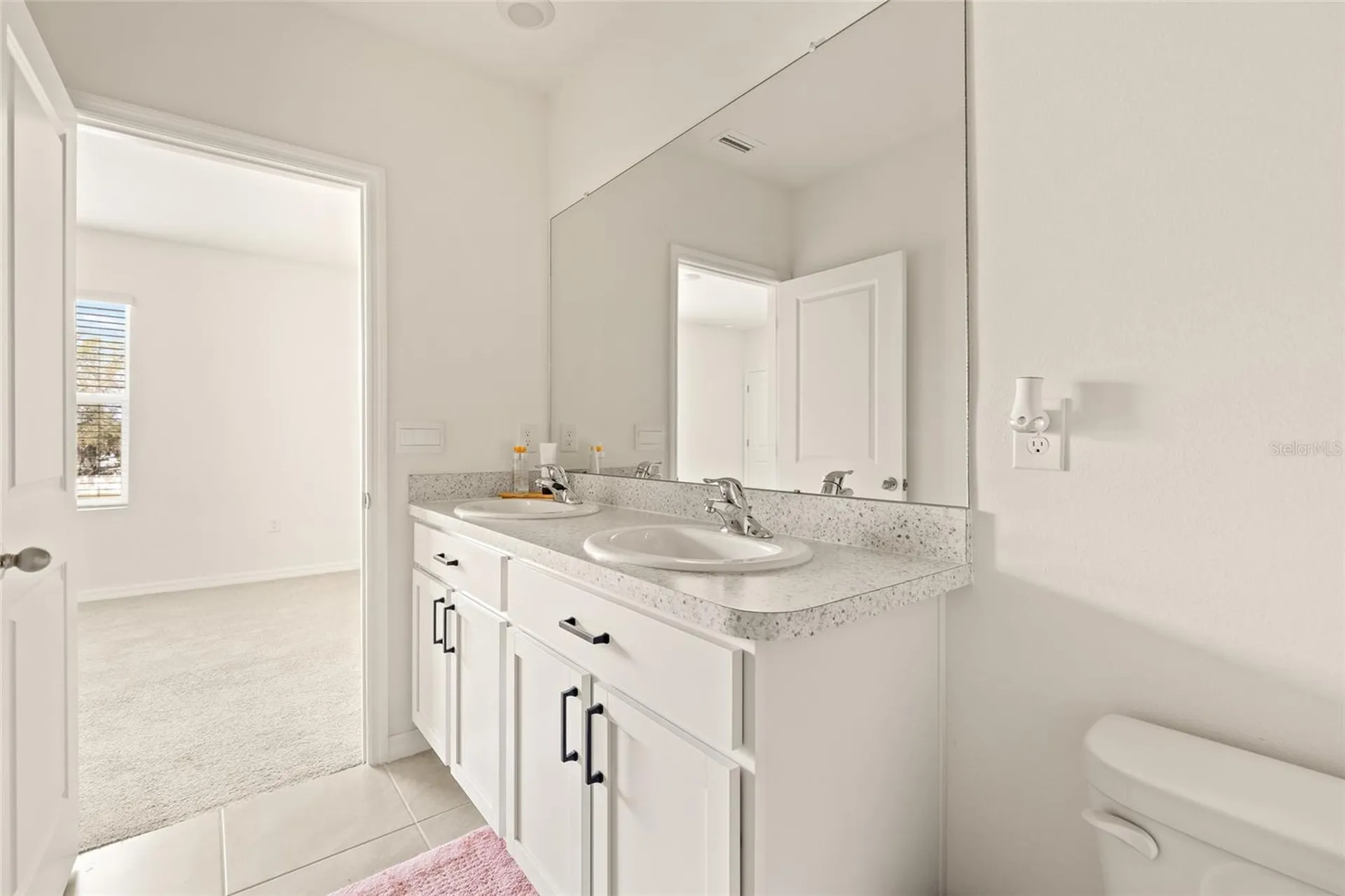 34395 Sorrel Mint Drive Wesley Chapel FL 33543