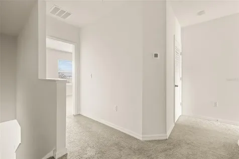 34395 Sorrel Mint Drive Wesley Chapel FL 33543