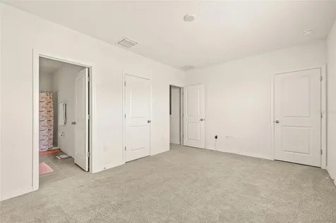 34395 Sorrel Mint Drive Wesley Chapel FL 33543