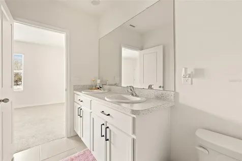 34395 Sorrel Mint Drive Wesley Chapel FL 33543