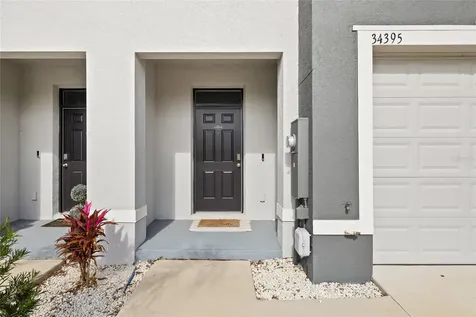 34395 Sorrel Mint Drive Wesley Chapel FL 33543