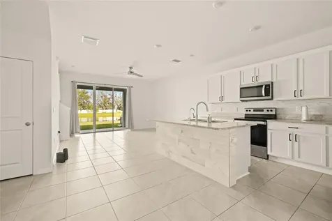 34395 Sorrel Mint Drive Wesley Chapel FL 33543