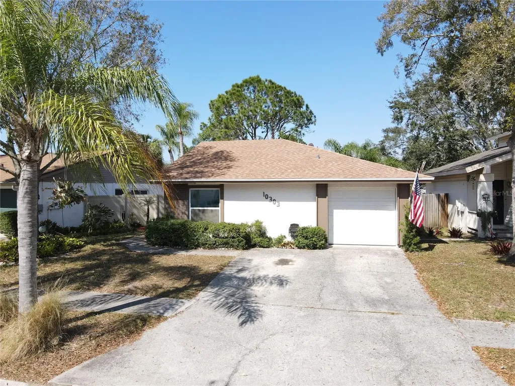 10303 Chadbourne Drive Tampa FL 33624