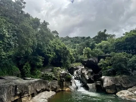 141 Plaza Virgen Gorda Luquillo PR 00773