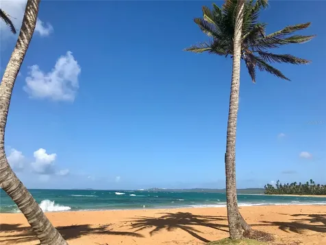 141 Plaza Virgen Gorda Luquillo PR 00773